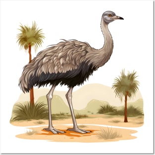 Ostrich Posters and Art